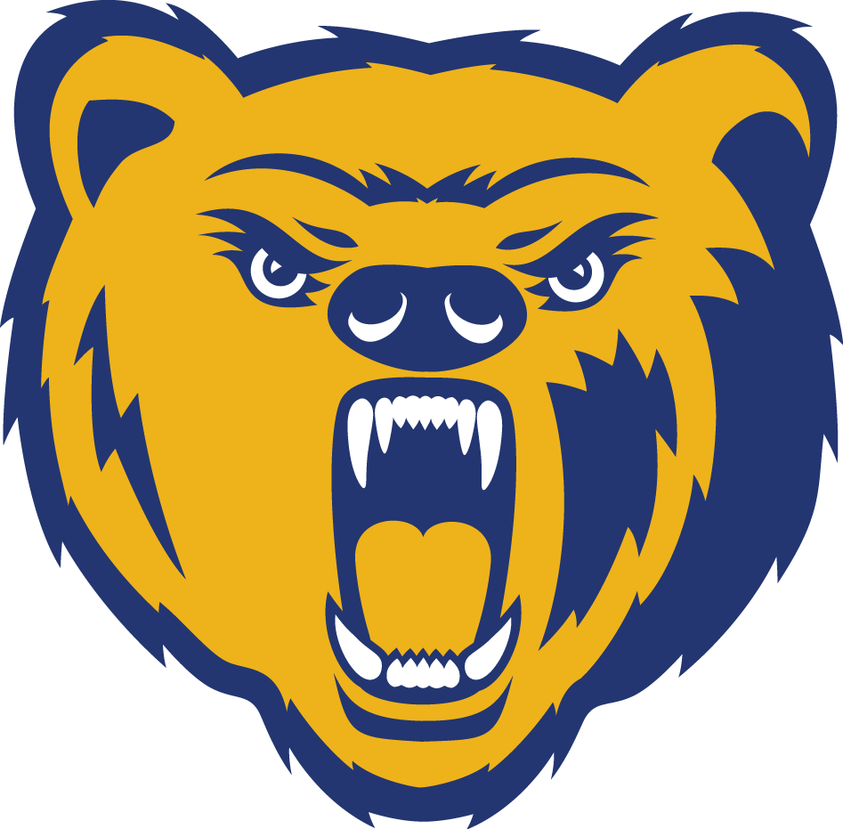 Northern Colorado Bears 2010-2014 Primary Logo iron on transfers for clothing